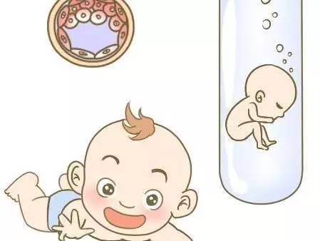 供卵代怀价格